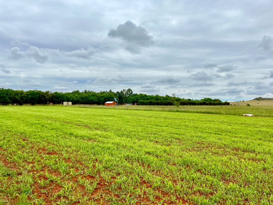 3 Bedroom Property for Sale in Bainsvlei Free State